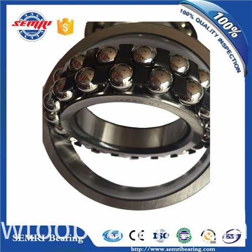 High Quality SKF Aligning Ball Bearing (1205)